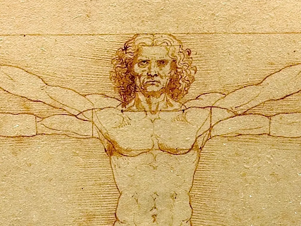 Head of Vitruvian Man Leonardo da Vinci